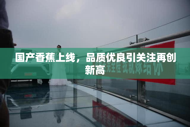 国产香蕉上线，品质优良引关注再创新高