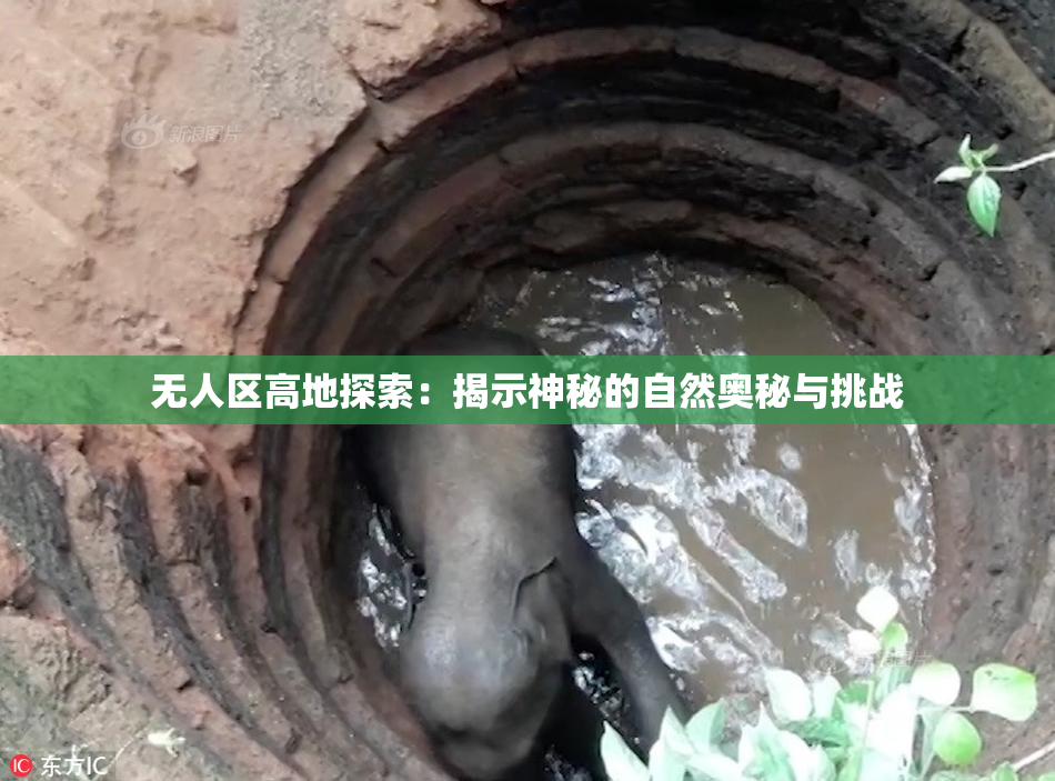无人区高地探索：揭示神秘的自然奥秘与挑战