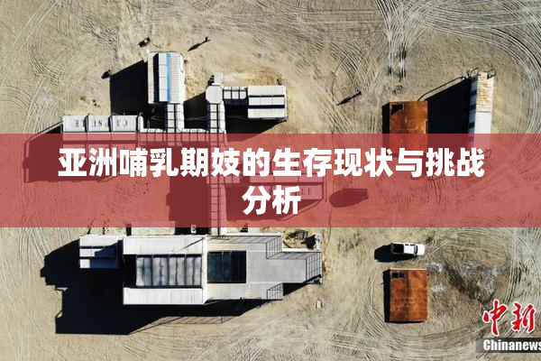 亚洲哺乳期妓的生存现状与挑战分析