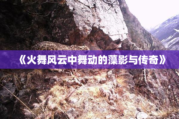 《火舞风云中舞动的藻影与传奇》