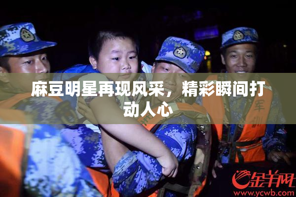麻豆明星再现风采，精彩瞬间打动人心