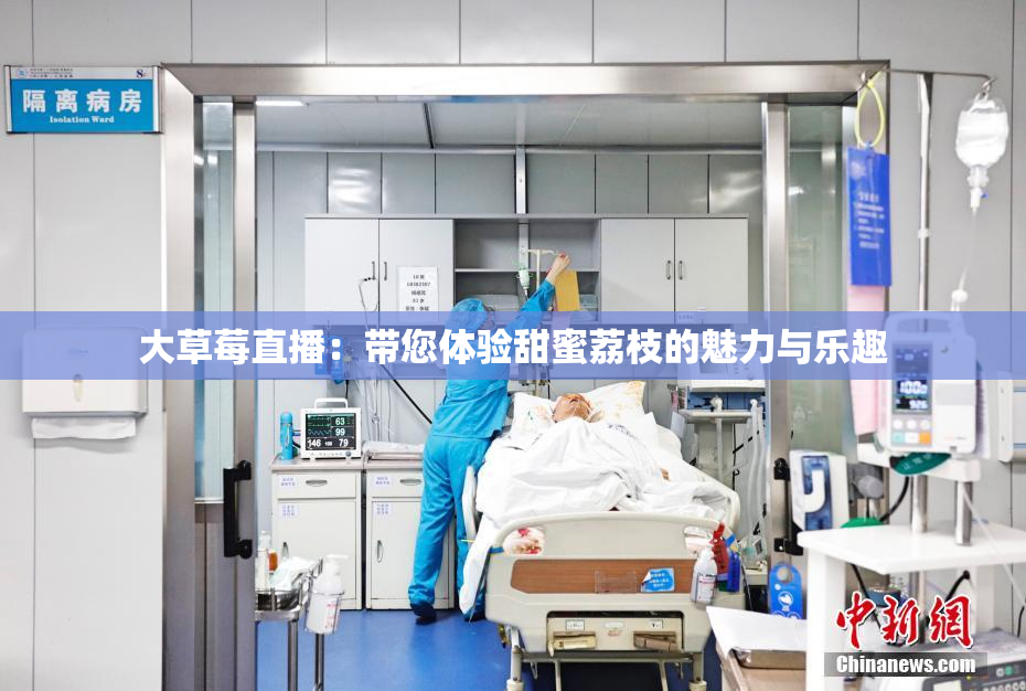 大草莓直播：带您体验甜蜜荔枝的魅力与乐趣