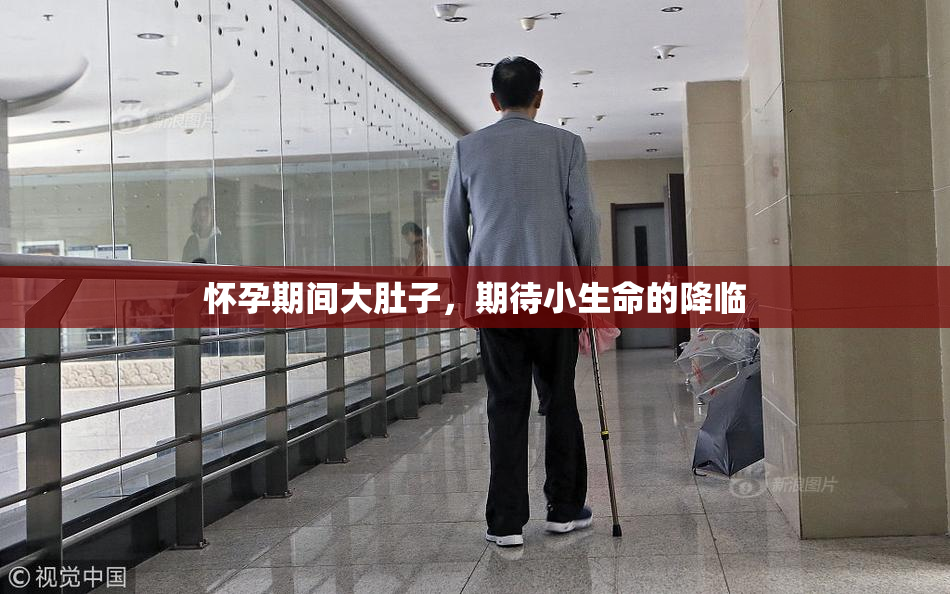 怀孕期间大肚子，期待小生命的降临