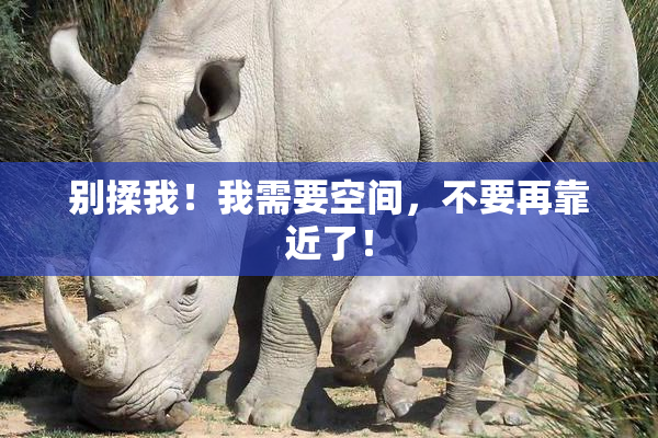 别揉我！我需要空间，不要再靠近了！