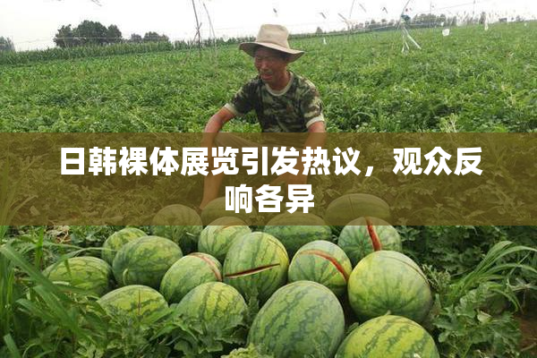 日韩裸体展览引发热议，观众反响各异