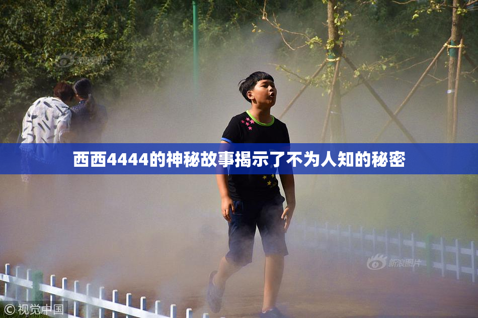 西西4444的神秘故事揭示了不为人知的秘密