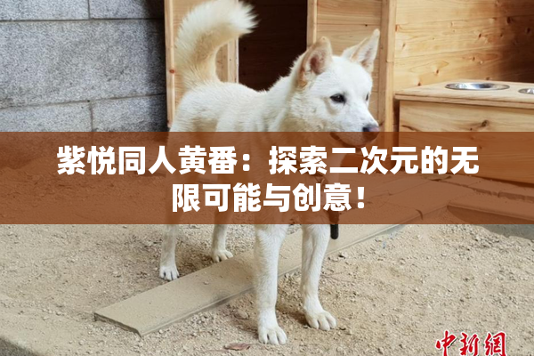 紫悦同人黄番：探索二次元的无限可能与创意！