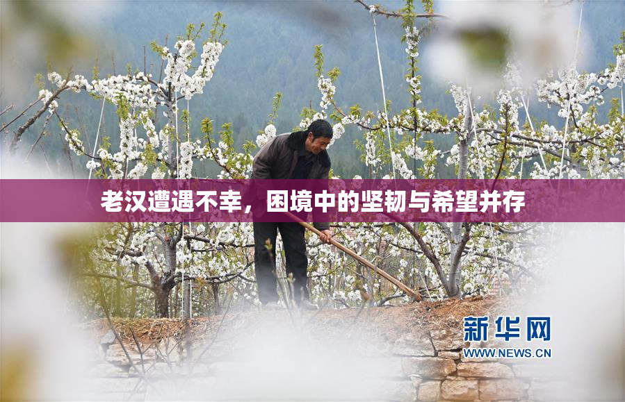老汉遭遇不幸，困境中的坚韧与希望并存