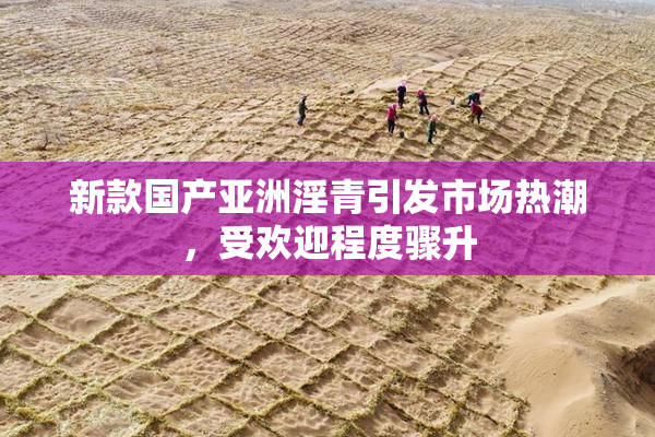 新款国产亚洲淫青引发市场热潮，受欢迎程度骤升