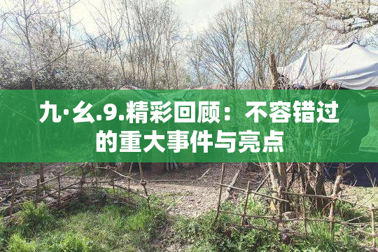 九·幺.9.精彩回顾：不容错过的重大事件与亮点