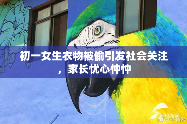 初一女生衣物被偷引发社会关注，家长忧心忡忡