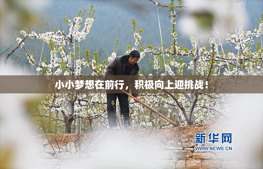 小小梦想在前行，积极向上迎挑战！