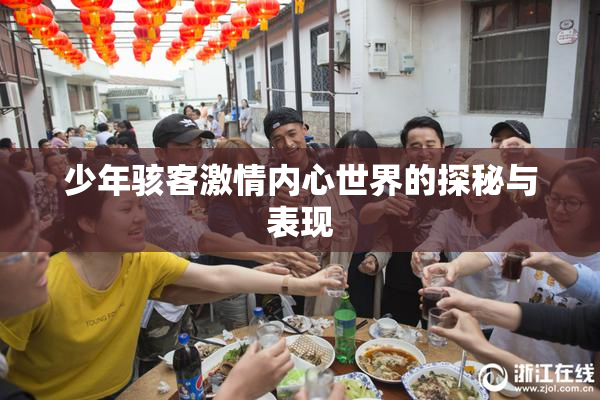 少年骇客激情内心世界的探秘与表现