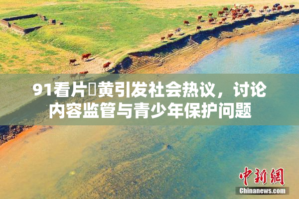 91看片婬黄引发社会热议，讨论内容监管与青少年保护问题
