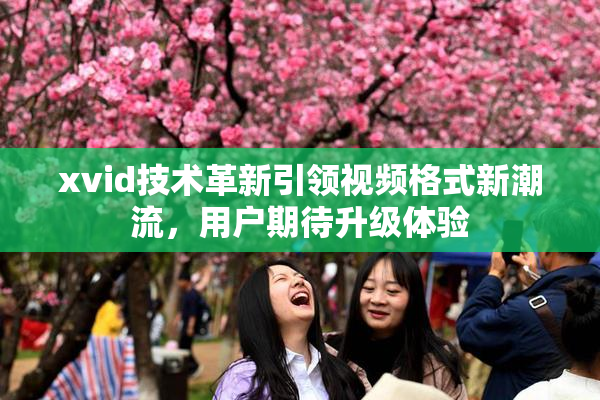 xvid技术革新引领视频格式新潮流，用户期待升级体验