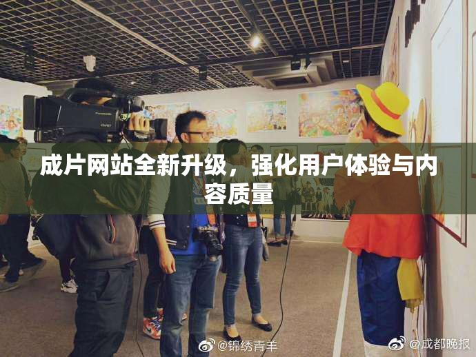 成片网站全新升级，强化用户体验与内容质量
