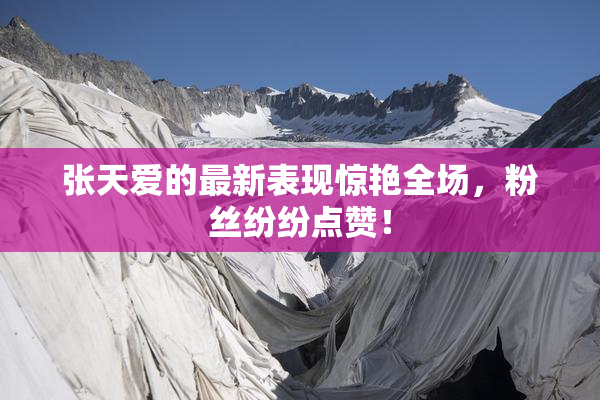 张天爱的最新表现惊艳全场，粉丝纷纷点赞！