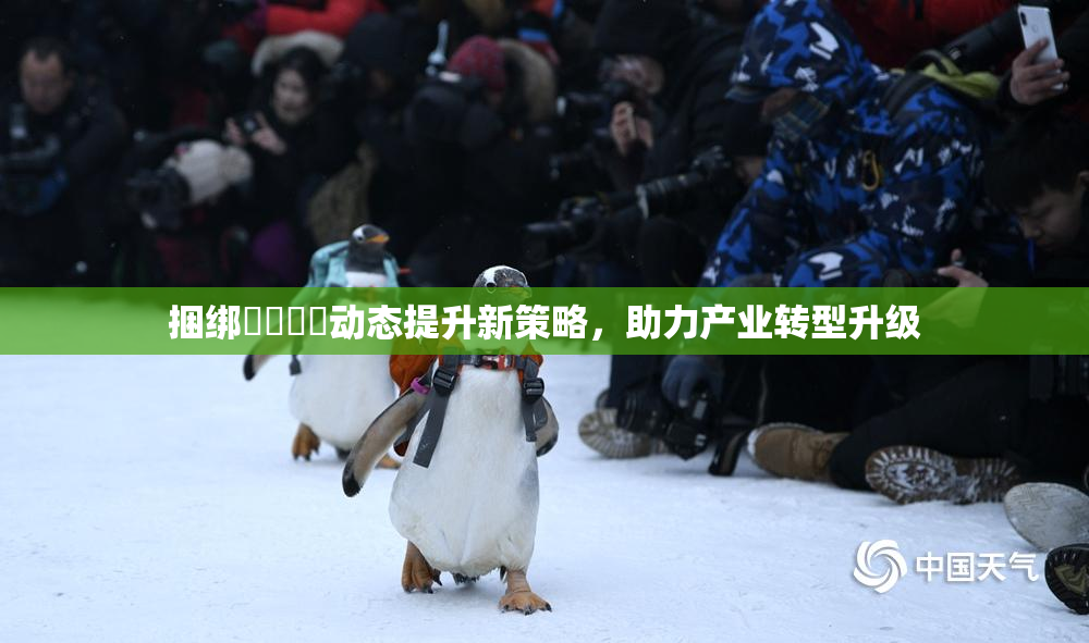捆绑❌‌❌‌动态提升新策略，助力产业转型升级