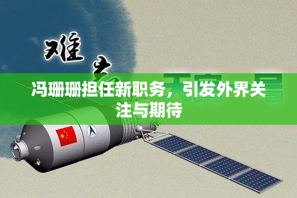 冯珊珊担任新职务，引发外界关注与期待