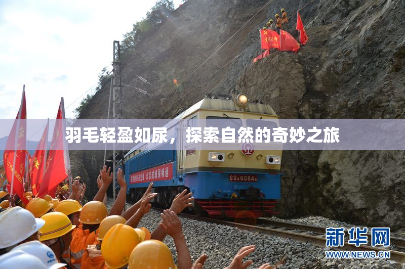 羽毛轻盈如尿，探索自然的奇妙之旅