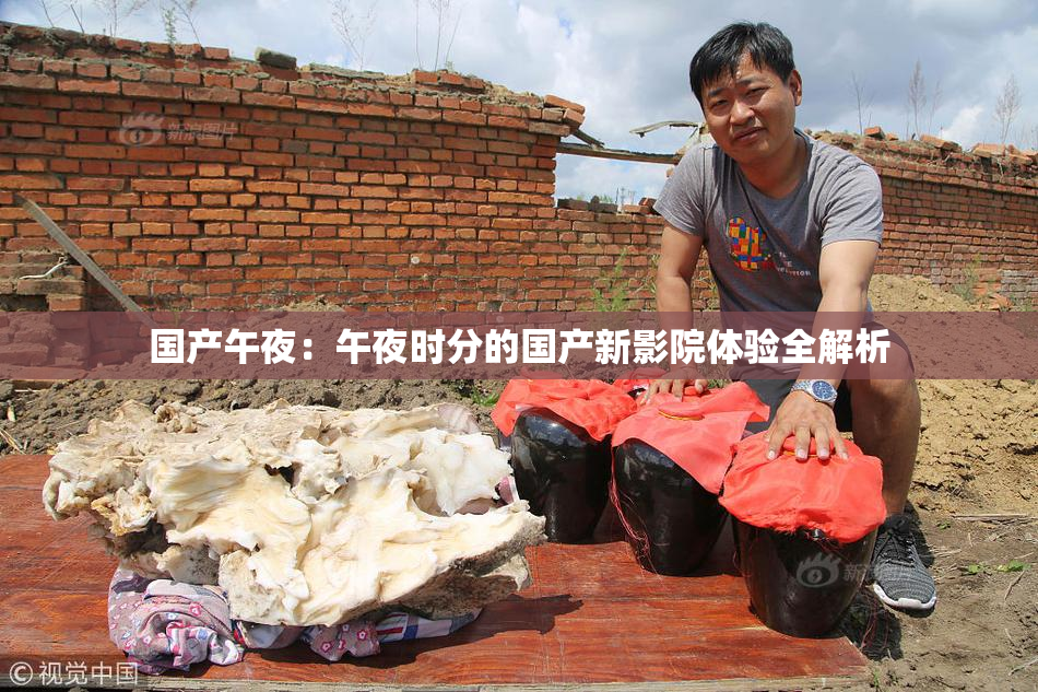 国产午夜：午夜时分的国产新影院体验全解析