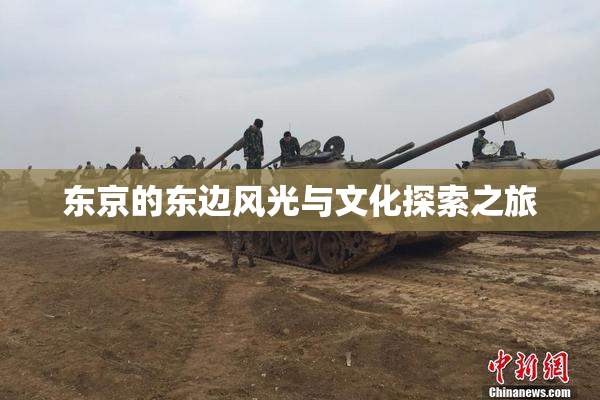 东京的东边风光与文化探索之旅