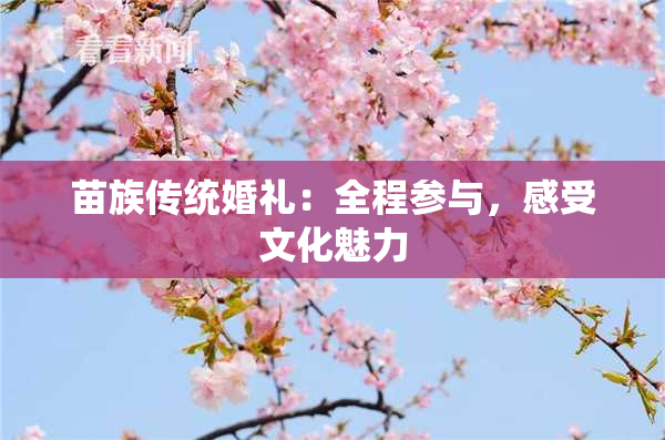 苗族传统婚礼：全程参与，感受文化魅力