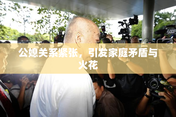 公媳关系紧张，引发家庭矛盾与火花