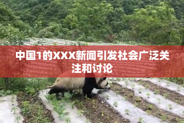 中国1的XXX新闻引发社会广泛关注和讨论