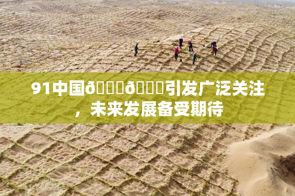 91中国🍆🍑引发广泛关注，未来发展备受期待