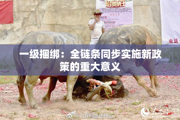 一级捆绑：全链条同步实施新政策的重大意义