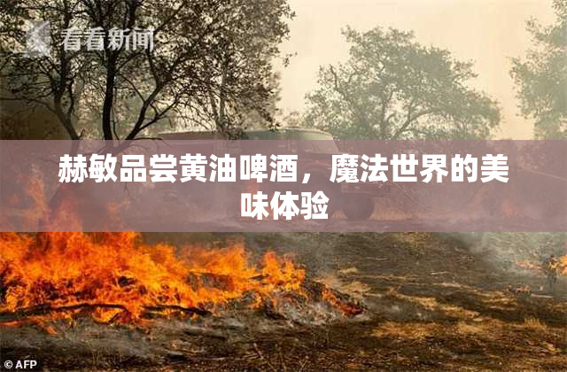 赫敏品尝黄油啤酒，魔法世界的美味体验