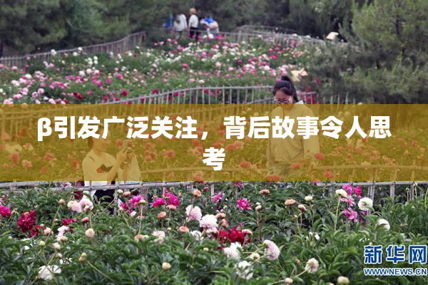 β引发广泛关注，背后故事令人思考