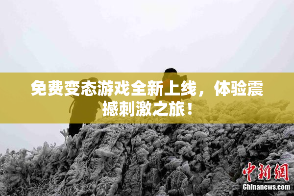 免费变态游戏全新上线，体验震撼刺激之旅！