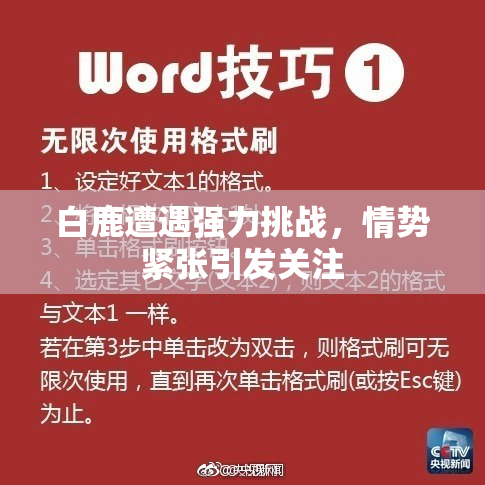 白鹿遭遇强力挑战，情势紧张引发关注