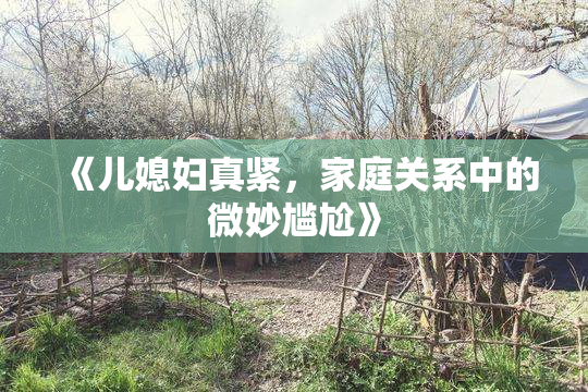《儿媳妇真紧，家庭关系中的微妙尴尬》