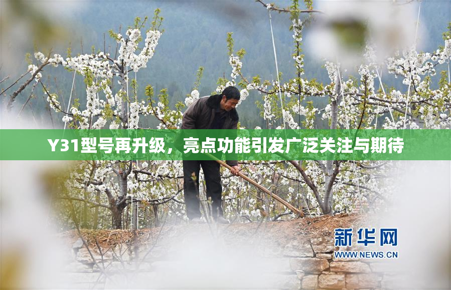 Y31型号再升级，亮点功能引发广泛关注与期待