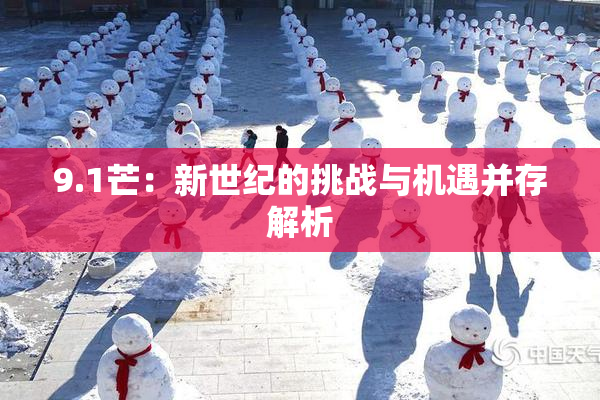 9.1芒：新世纪的挑战与机遇并存解析
