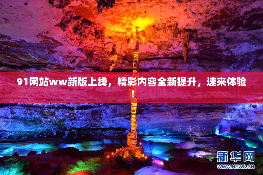91网站ww新版上线，精彩内容全新提升，速来体验！