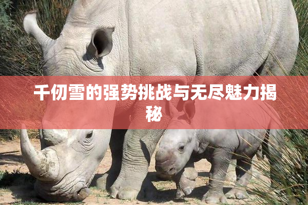 千仞雪的强势挑战与无尽魅力揭秘