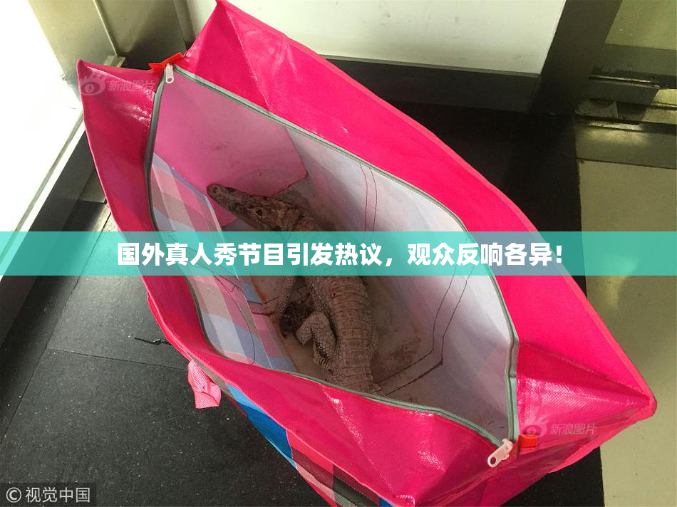国外真人秀节目引发热议，观众反响各异！