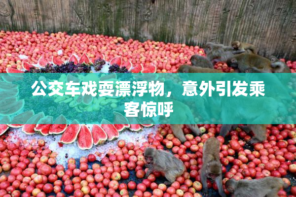 公交车戏耍漂浮物，意外引发乘客惊呼