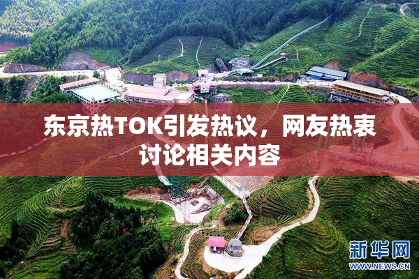 东京热TOK引发热议，网友热衷讨论相关内容