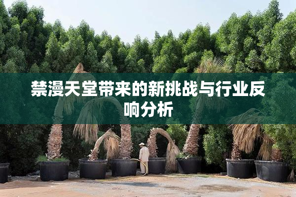 禁漫天堂带来的新挑战与行业反响分析