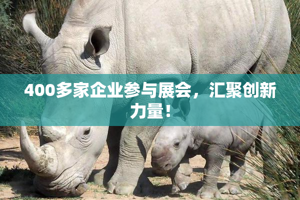 400多家企业参与展会，汇聚创新力量！
