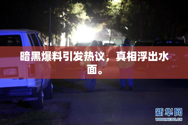 暗黑爆料引发热议，真相浮出水面。