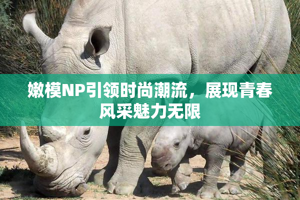 嫩模NP引领时尚潮流，展现青春风采魅力无限