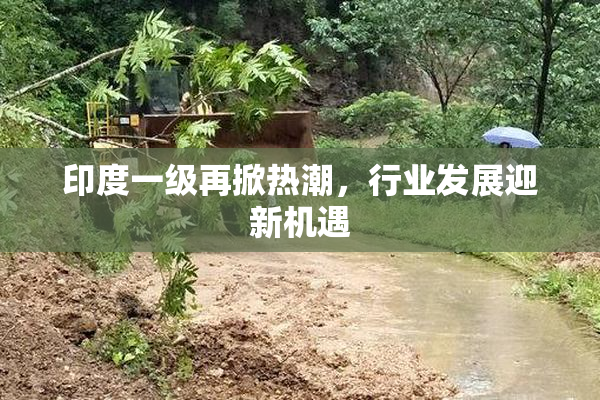 印度一级再掀热潮，行业发展迎新机遇