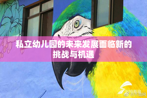 私立幼儿园的未来发展面临新的挑战与机遇