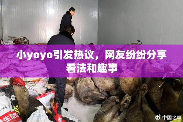 小yoyo引发热议，网友纷纷分享看法和趣事